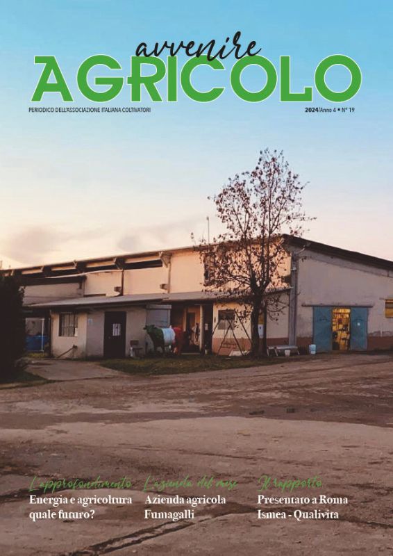 foglie autunnali fine anno bilancio agricoltura 2024